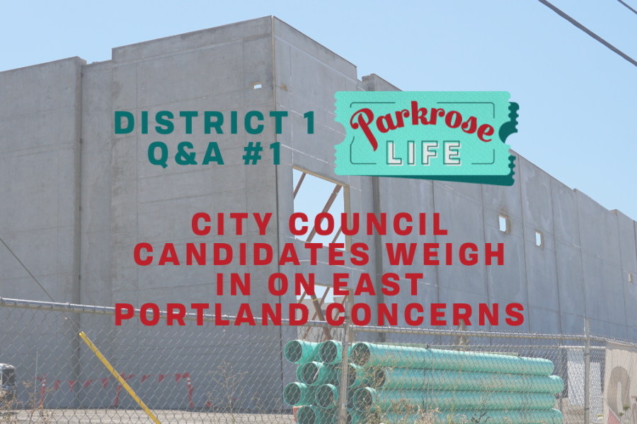 District 1 Portland City Council Election