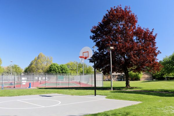 Argay Park Basketball Court