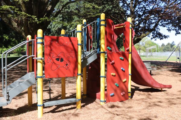 Argay Park Playground