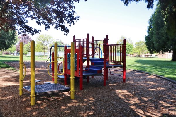 Argay Park Playground