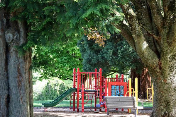 Argay Park Playground