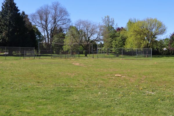 Argay Park Field