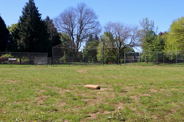 Argay Park Field