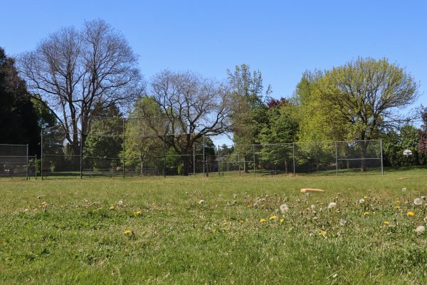 Argay Park Field