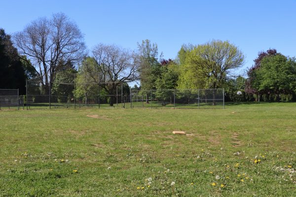Argay Park Field
