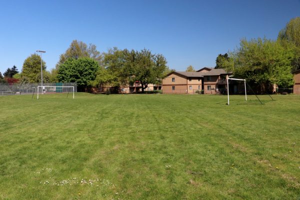 Argay Park Field