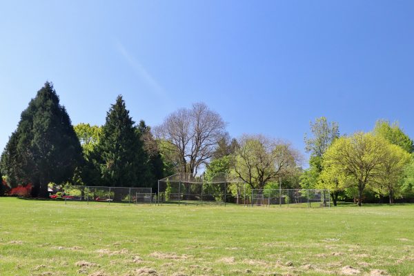 Argay Park Field