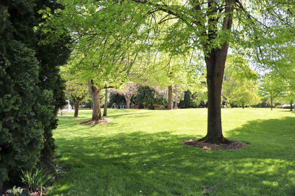 Argay Park