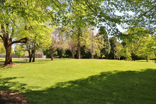 Argay Park Field